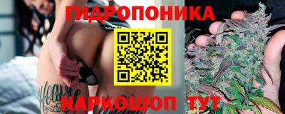 ПСИЛОЦИБИНОВЫЕ ГРИБЫ Обнинск