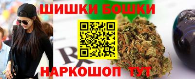 винт Обь
