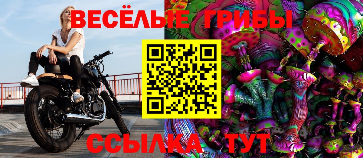 Галлюциногенные грибы Psilocybe  купить наркоту  Вход с VPN  Советск  Галлюциногенные грибы MAGIC MUSHROOMS 